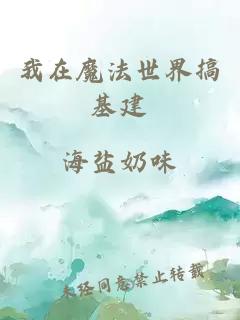 我在魔法世界搞基建